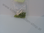 Swarovski Glasschliffperlen 4 mm oliv
